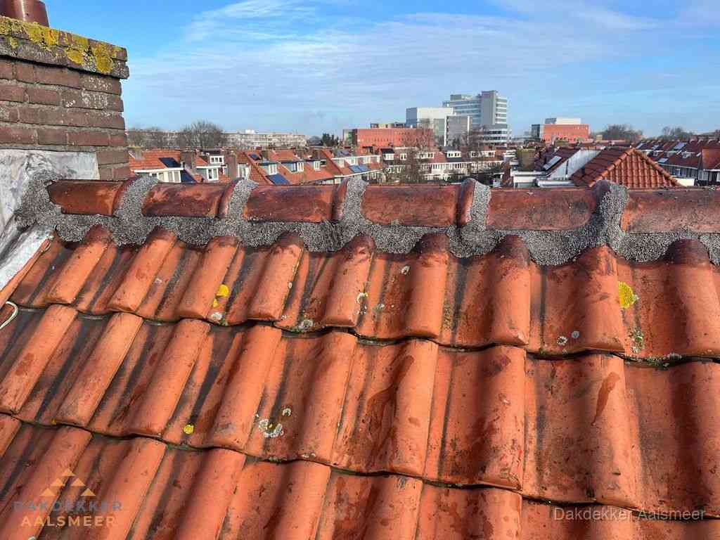 Nieuw bitumen plat dak met uitzicht over woonwijk in Aalsmeer