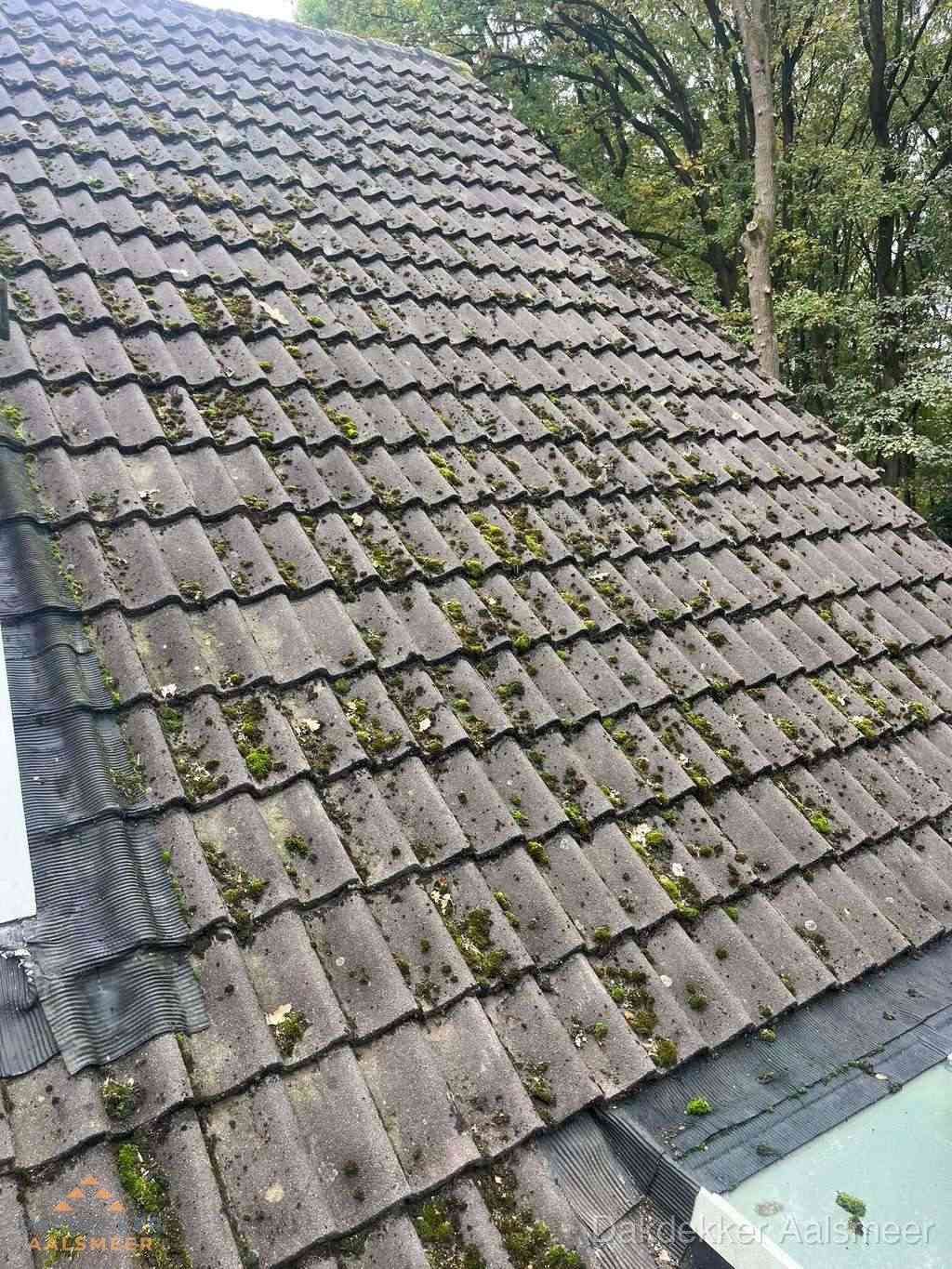 Verweerd pannendak met mosgroei dat renovatie nodig heeft in Aalsmeer