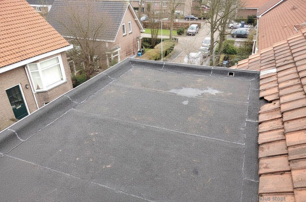 Dakdekker In Najaar Aalsmeer
