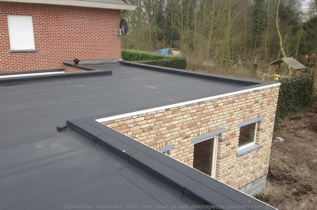 Dakinspectie Plat Dak Aalsmeer