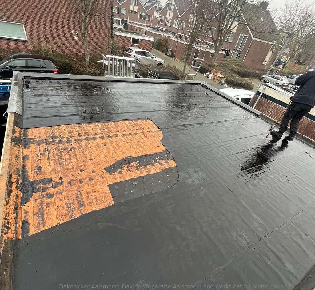 Dakleer Reparatie Aalsmeer