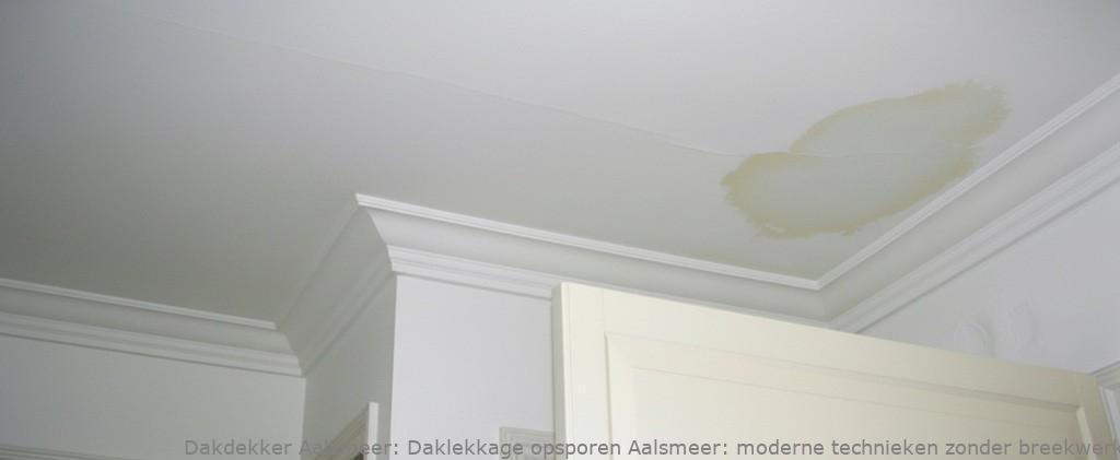 Daklekkage Opsporen Aalsmeer 1