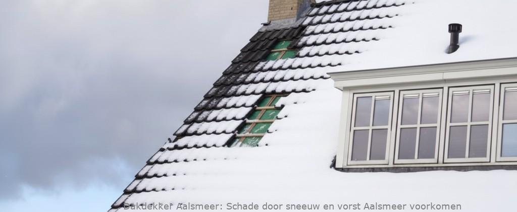 Schade Door Sneeuw En Vorst Aalsmeer