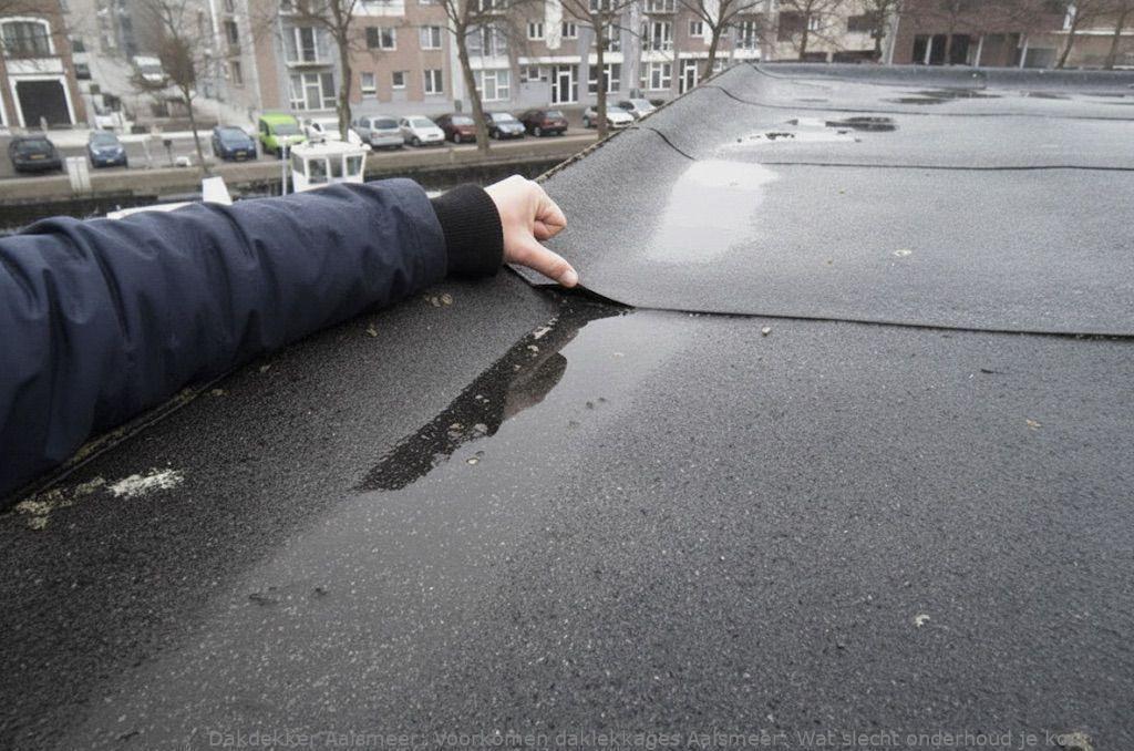 Voorkomen Daklekkages Aalsmeer