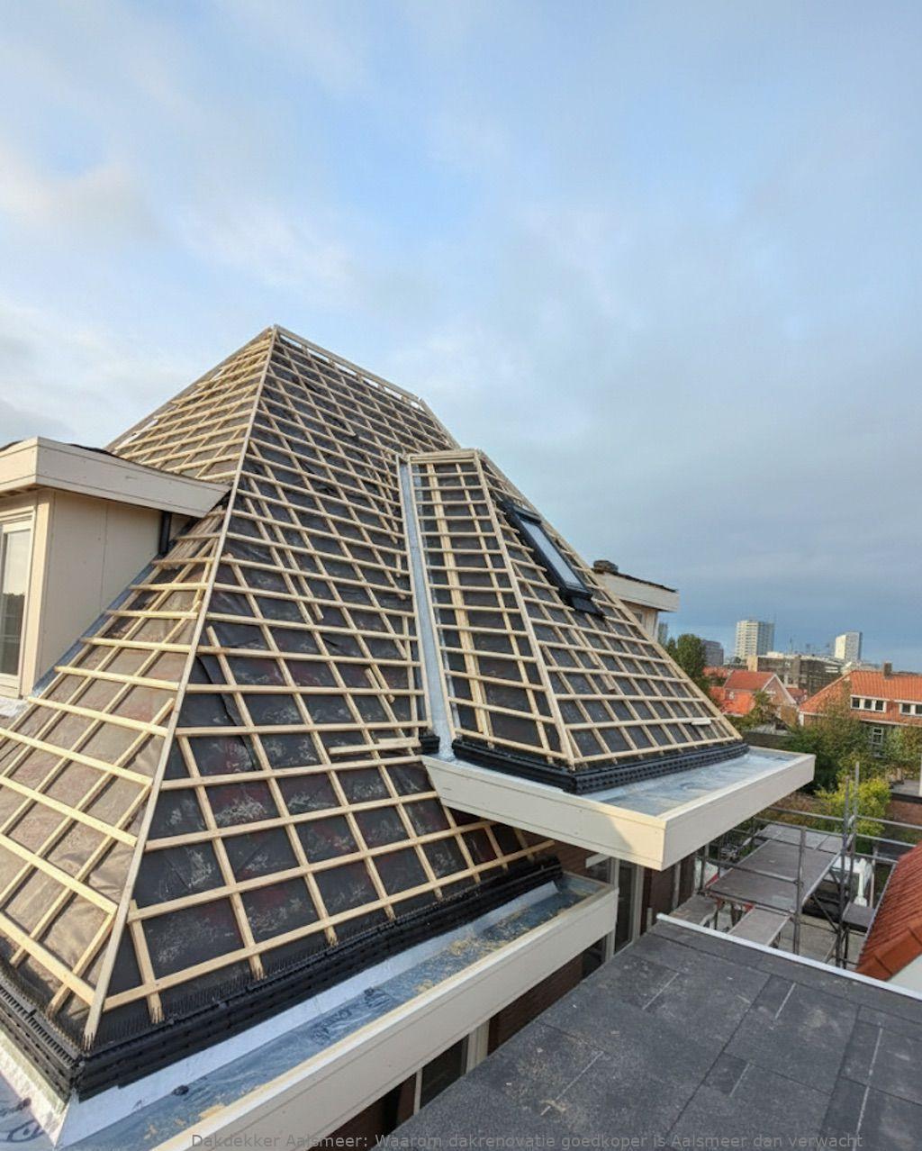 Waarom Dakrenovatie Goedkoper Is Aalsmeer